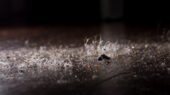 hair dust dirt on dark floor