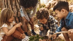 Children in a forest looking at leaves through a magnifying glass
