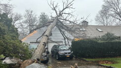 House with fallen tree over it after storm