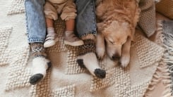 Parent with kid and dog relaxing on blanket