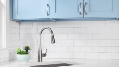 Kitchen faucet and cabinets