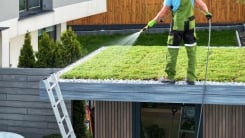 Landscaper watering green roof