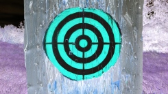 A photograph of a target attached to the side of a tree, with the colors inverted