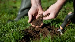 Person handling some soil