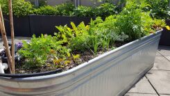 A metal raised garden bed filled with plants
