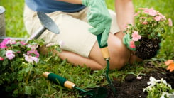 Person gardening with shovel 