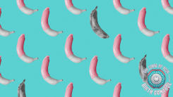 An collage of black and white bananas against a blue background. Some of the bananas are perfectly ripe and wrapped in pink condoms. The others are mottled as if overripe