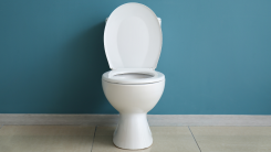 A white porcelain toilet against a teal painted wall