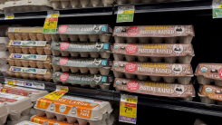 Angled view of a variety of eggs for sale inside a grocery store.