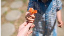 child and adult both holding a small flower